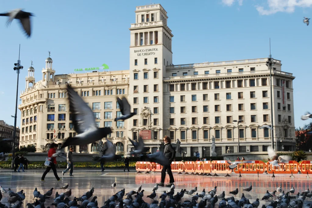 control de palomas barcelona econtrol